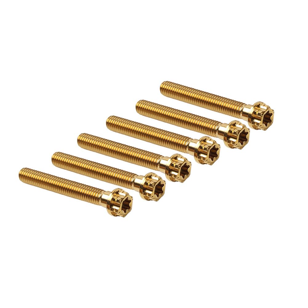 ya 9 10.24 6pcs Bolts Torx Head Flange Screws M10x60mm Gold for Motorcycle Bike