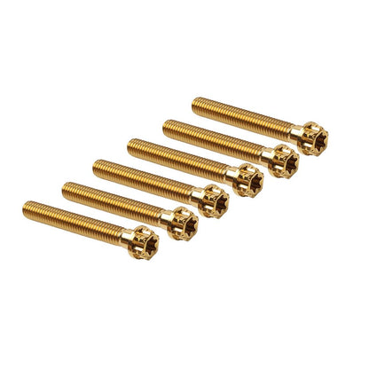 ya 9 10.24 6pcs Bolts Torx Head Flange Screws M10x60mm Gold for Motorcycle Bike