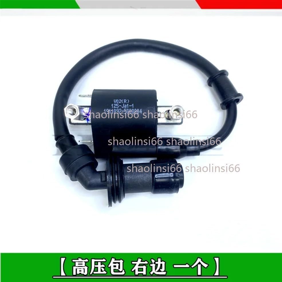 ya 5 8.24 baidi Motorcycle Lgnition Coil Voltage For Benelli BJ125-3E BJ125-3 125cc TNT 125 135