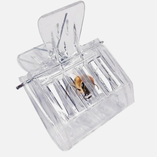 ya 16 10.20 baidi 2pcs Queen Cage Clip Bee Catcher Beekeeper Beekeeping Tool Plastic Equipment