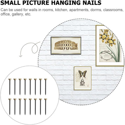 ya 26 10.21 baidi 60pcs Photo Frame Hanging Nails Picture Hangers Nail Home Hanging Photo Hook Pin