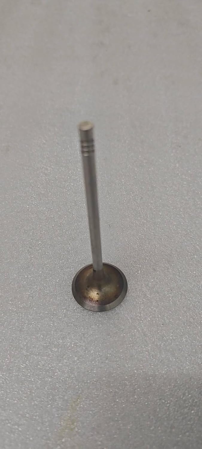 ya 10 9.16 baidi 8x Engine Intake Valve for BMW 11347633699