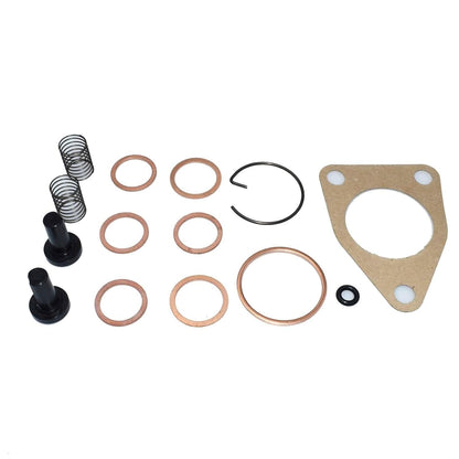 ya 2 8.15 Gasket kit for DGK301 Supply Pump ADS-DGK-301 Feed Pump kit 2447010004