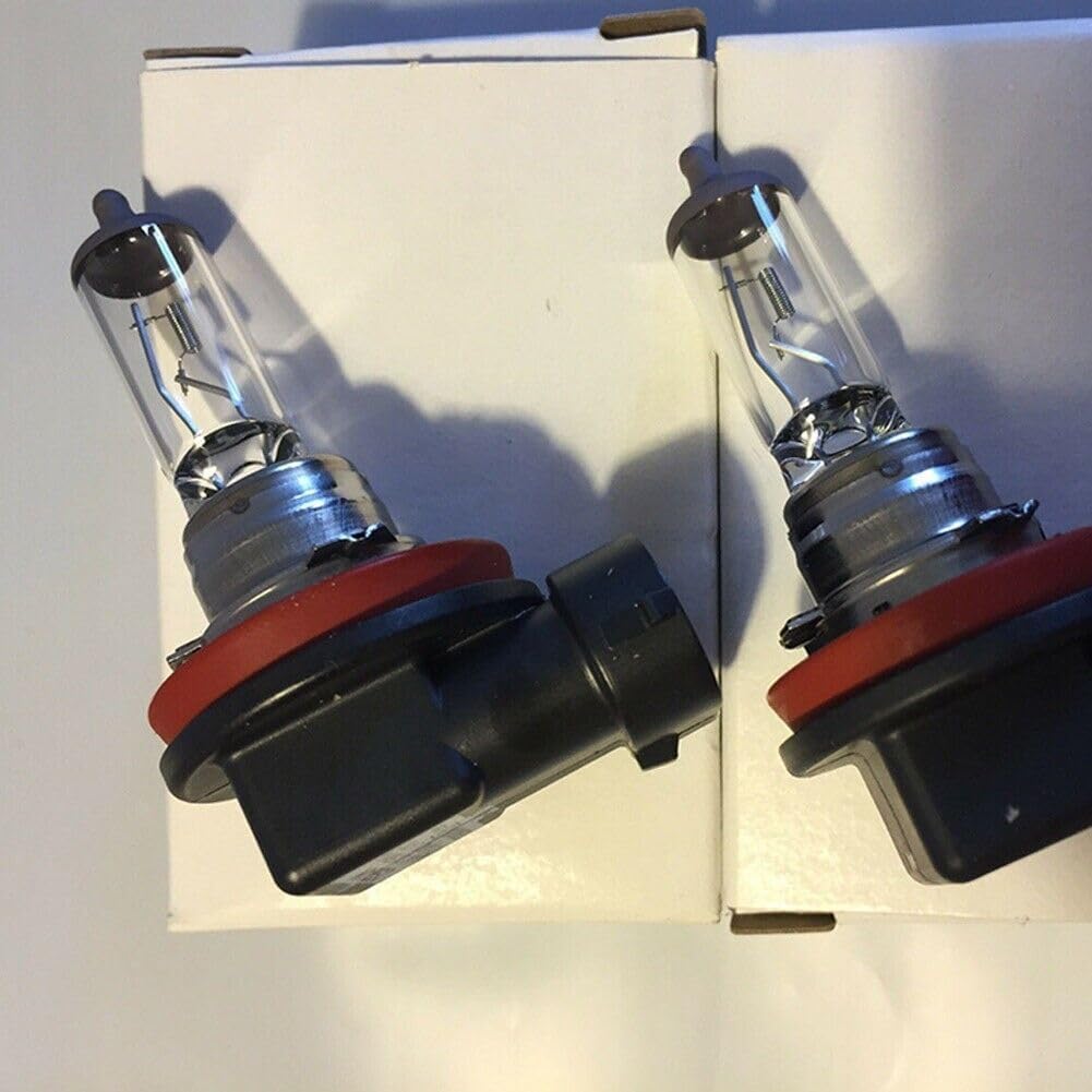 ya 14 9.20 zhengce Reliable perfor for MAN ce H11 12V 100W halogen bulb suitable for car headl-1