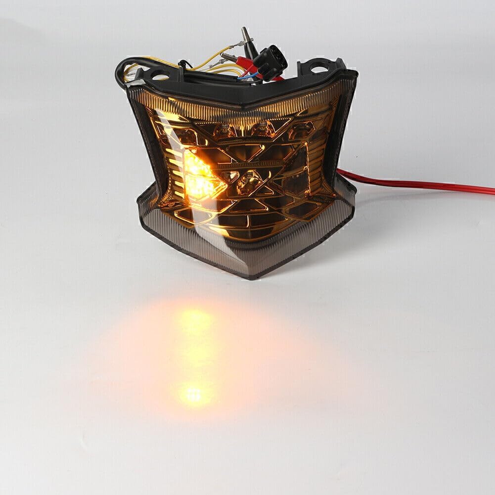 ya 10 9.16 zhengce Gold Motocycle Rear LED Turn Signal Taillight for Kawasaki Z900/Z650 ABS 20