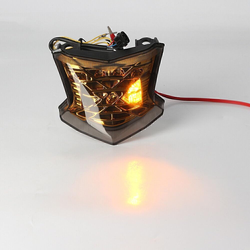 ya 10 9.16 zhengce Gold Motocycle Rear LED Turn Signal Taillight for Kawasaki Z900/Z650 ABS 20