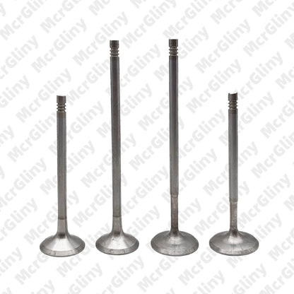 ya 10 9.16 baidi Intake & Valves for VW for Passat Atlas for Audi Q7 for A8 BHK CDVC CDVD 3.2L 3.6L