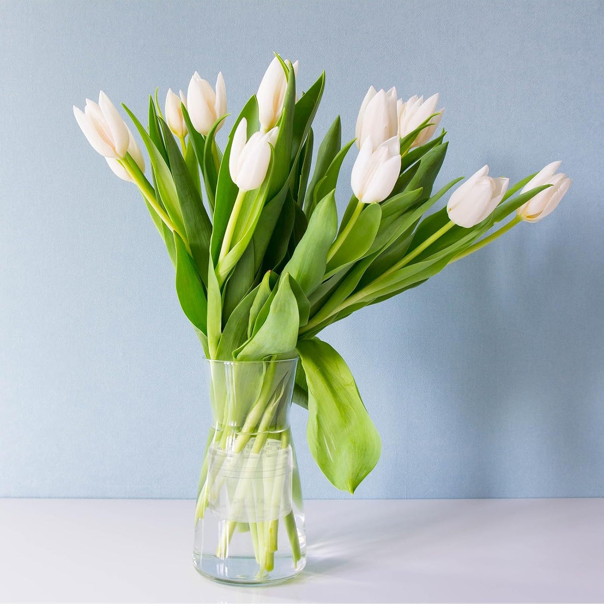 ya 26 10.21 baidi 4 Pcs Spiral Flower Stem Holder, S&L Spiral Stem Holder for DIY, Clear