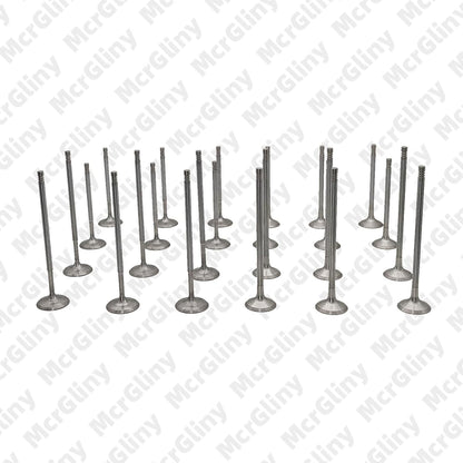 ya 10 9.16 baidi Intake & Valves for VW for Passat Atlas for Audi Q7 for A8 BHK CDVC CDVD 3.2L 3.6L