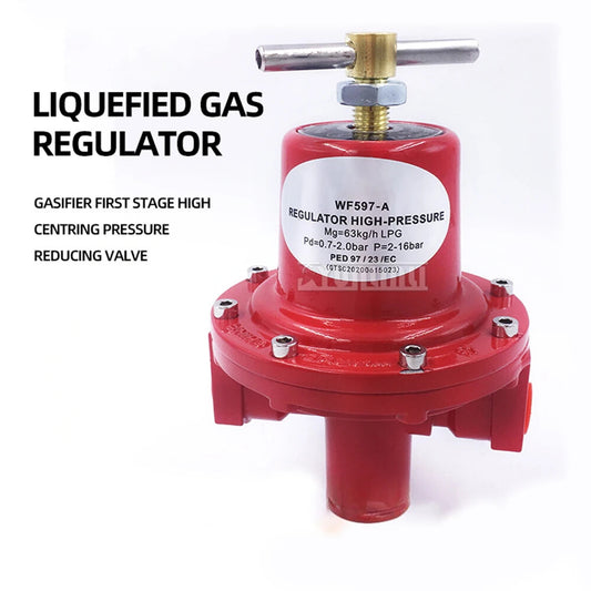 Gasifier First Stage Pressure Reducing Valve Liquefied Gas Pressure Regulator