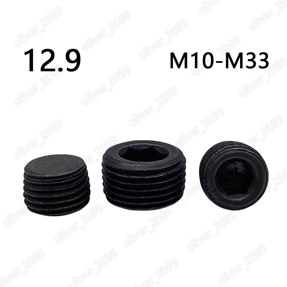 Black 12.9 Steel Hexagon Socket Pipe Plugs Conical Thread DIN906 M10 M12 M14-M33