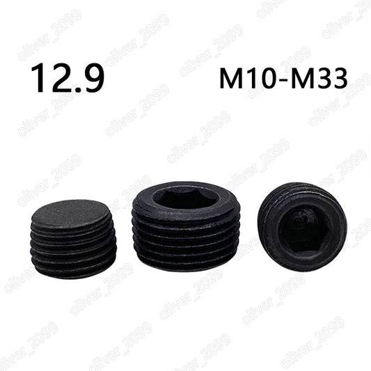 Black 12.9 Steel Hexagon Socket Pipe Plugs Conical Thread DIN906 M10 M12 M14-M33