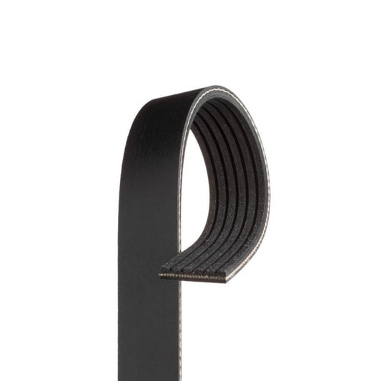 ya 1 7.1 Serpentine Belt for Cadillac CTS 04-05