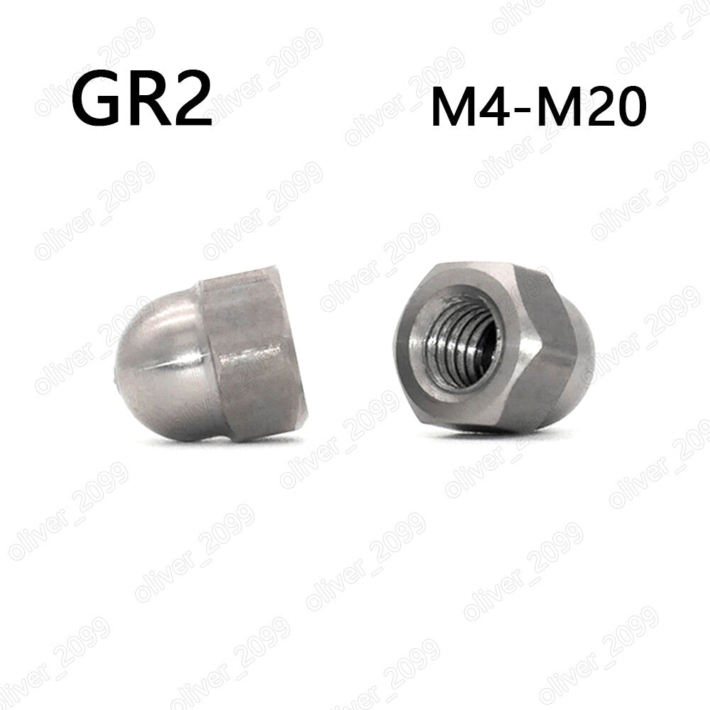 Titanium GR2 Hex Cap Nuts Hex Acorn Nut M4 M5 M6 M8 M10 M12 M16 M20