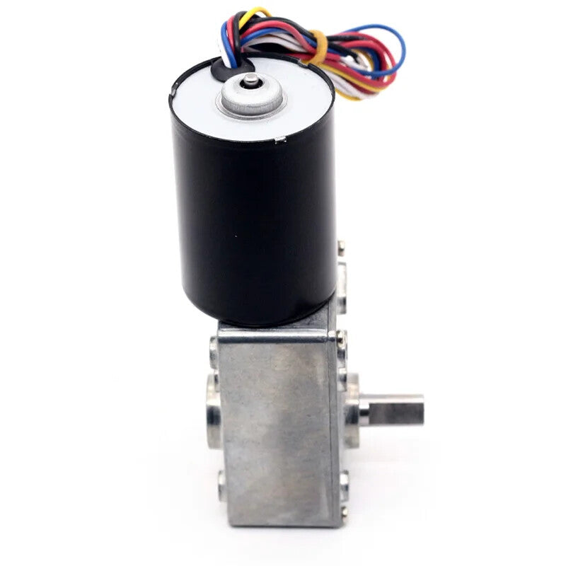 ya 5 8.7 A58-3650 Auto Locking Brushless Worm Gear Motor 12 Volt Brushed Motor Permanent Magnet