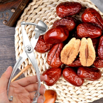ya 26 Professio l Grades Cherries Stoners Rusts Resistant Nonrust Steel Kitchen