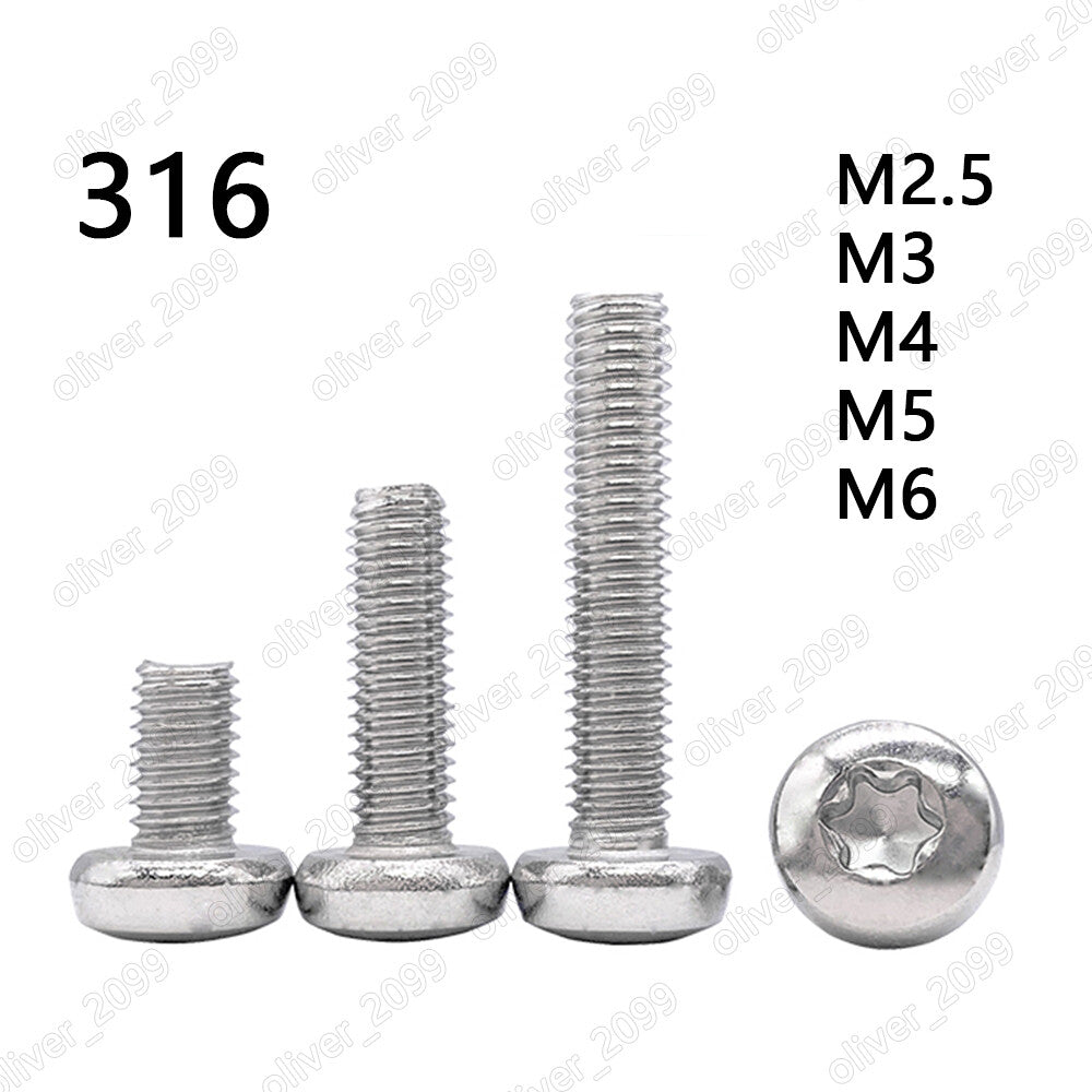 M2.5 M3 M4 M5 M6 316 Stainless Steel Torx Soket Pan Head Screws
