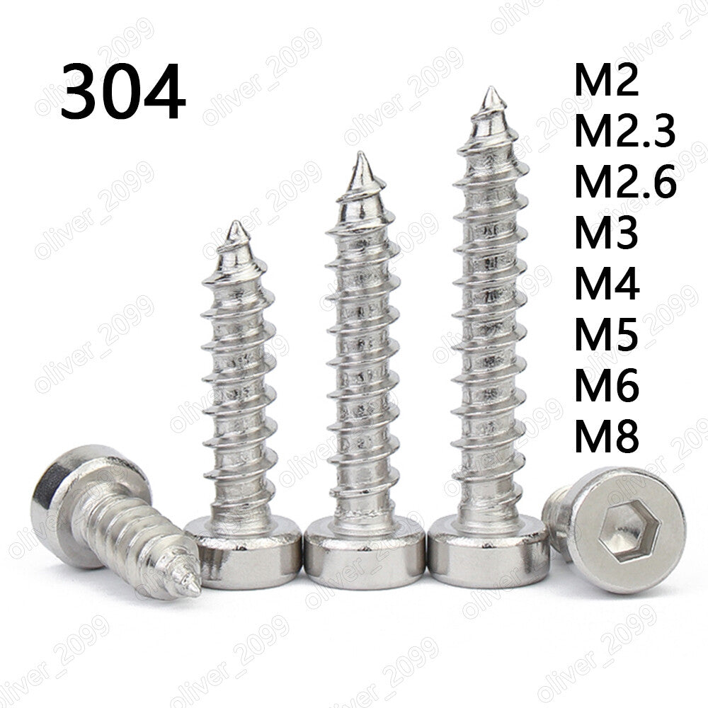 304 Stainless Steel Hex Socket Cap Head Self Tapping Screws With Low Head M2-M8