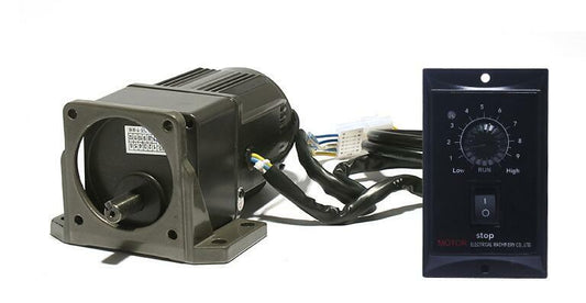 220V 25W Adjustable Speed Motor AC Gear Motor Reversible Motor with Controller T