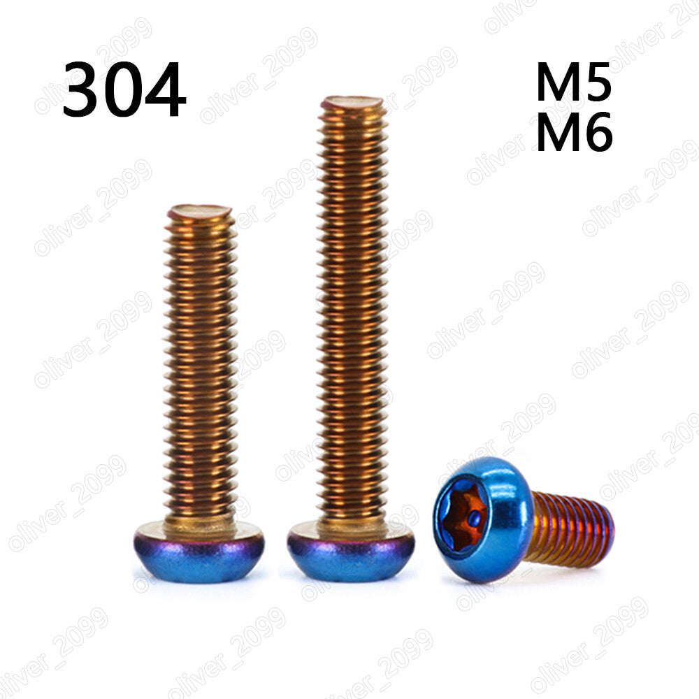 304SS Vacuum Plate Titanium Pin Tamper Torx Button Head Security Screws M5 M6