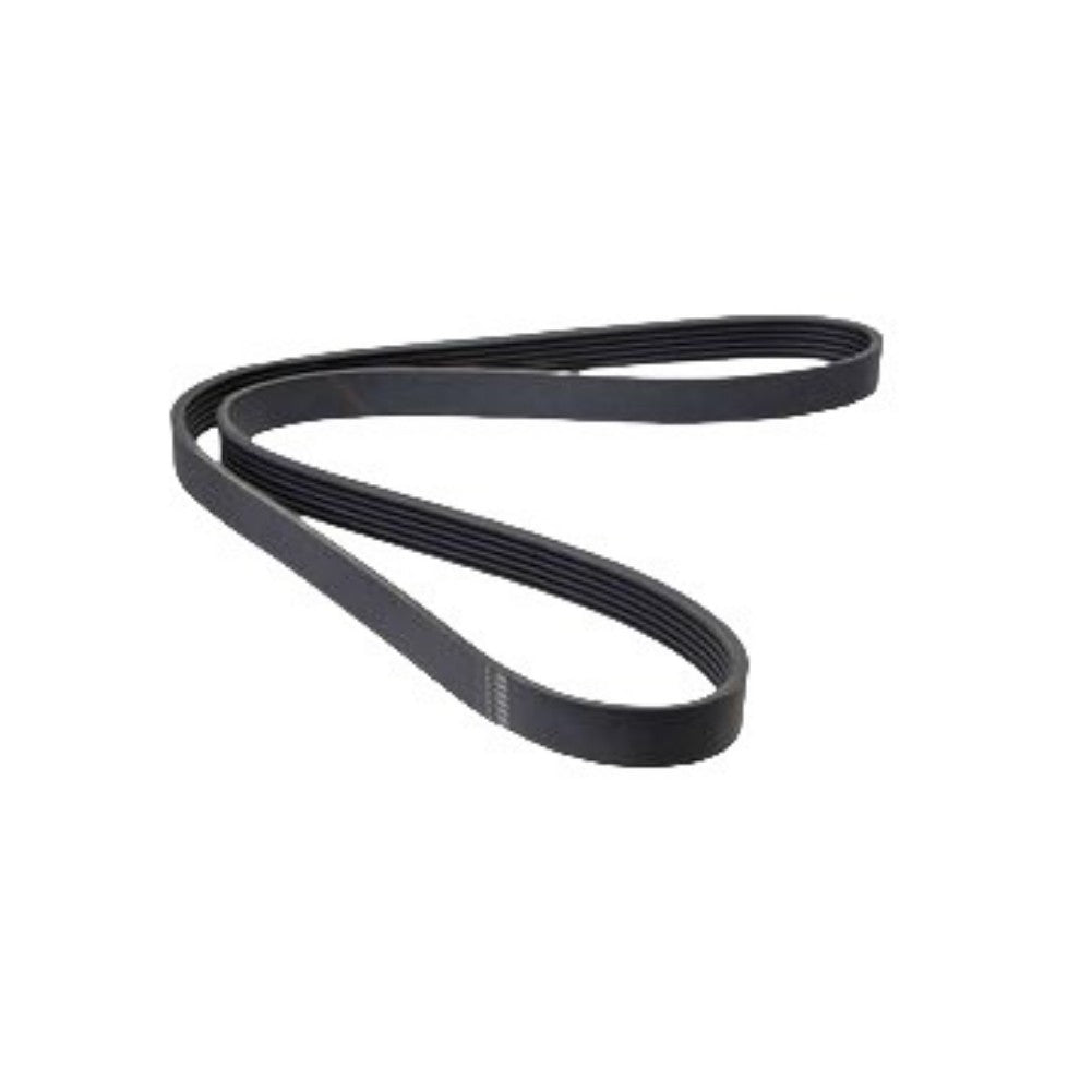 ya 5 8.7 The snake-shaped belt is suitable for the for Cadillac CTS. (04-05)