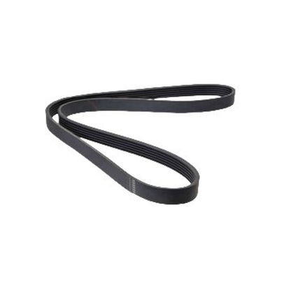 ya 5 8.7 The snake-shaped belt is suitable for the for Cadillac CTS. (04-05)
