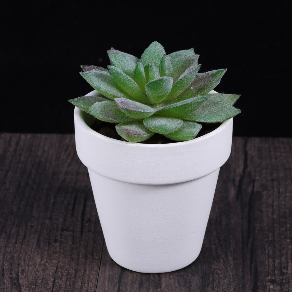 ya 14 10 Pcs White Plant Pot for Home Decoration Plants Small Flower Pots Ceramics
