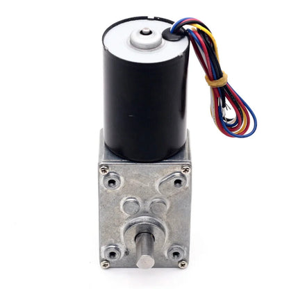 ya 5 8.7 A58-3650 Auto Locking Brushless Worm Gear Motor 12 Volt Brushed Motor Permanent Magnet