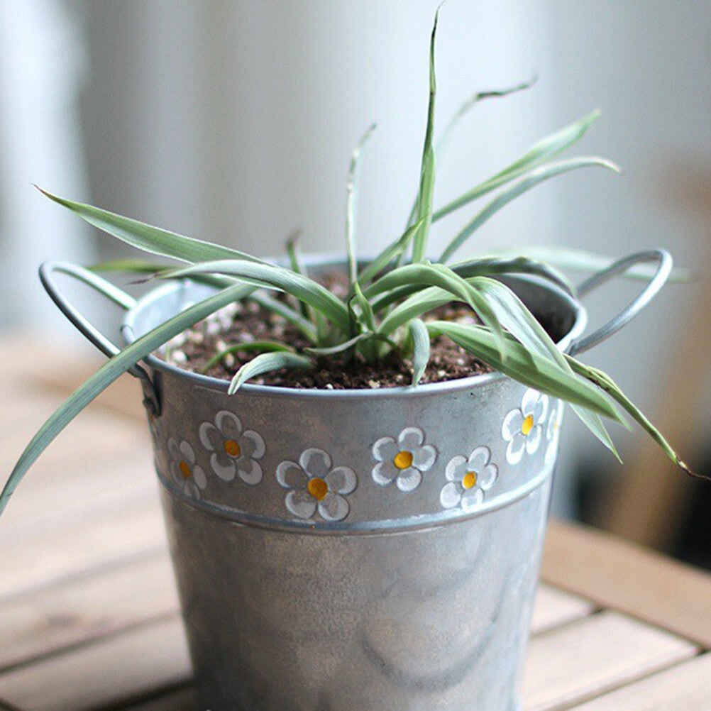 ya 14 Flower Pot Daisy Embossed Garden Metal Tin Bucket Planter Pots with Handle