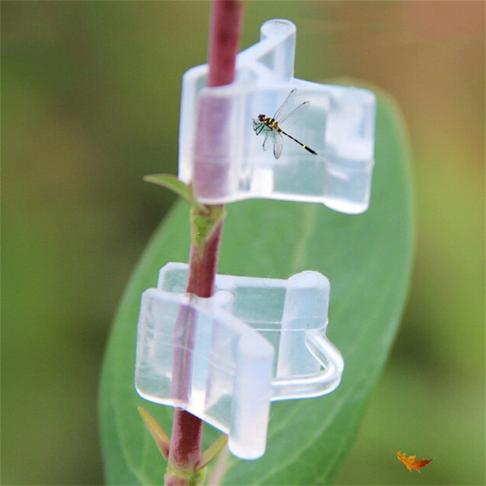 ya 25  (Couleur Assortie)100 PCS Clip De Greffe De Plantes Pratique Pour Utiliser