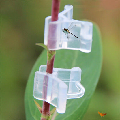ya 25  (Couleur Assortie)100 PCS Clip De Greffe De Plantes Pratique Pour Utiliser