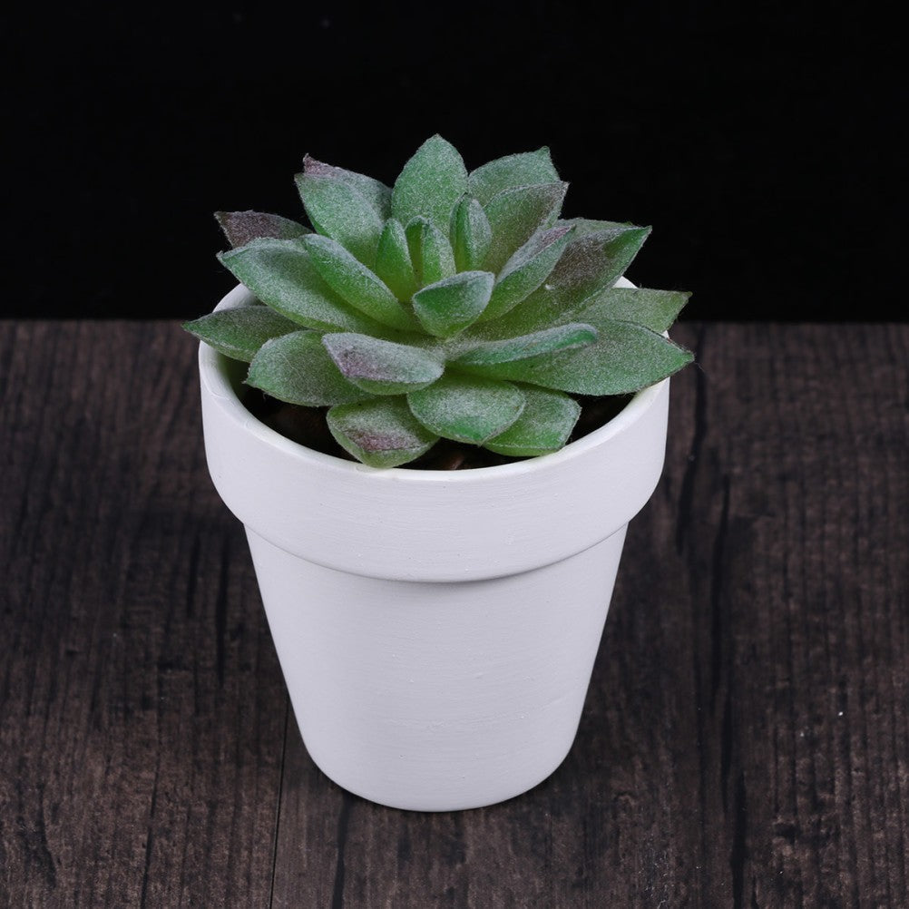 ya 14 10 Pcs White Plant Pot for Home Decoration Plants Small Flower Pots Ceramics