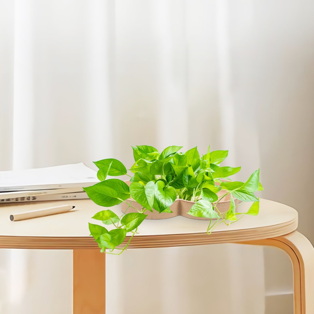 ya 5 8.7 Pot Flower-shaped Tray Office Table Decorative Wood Tea Serving Food