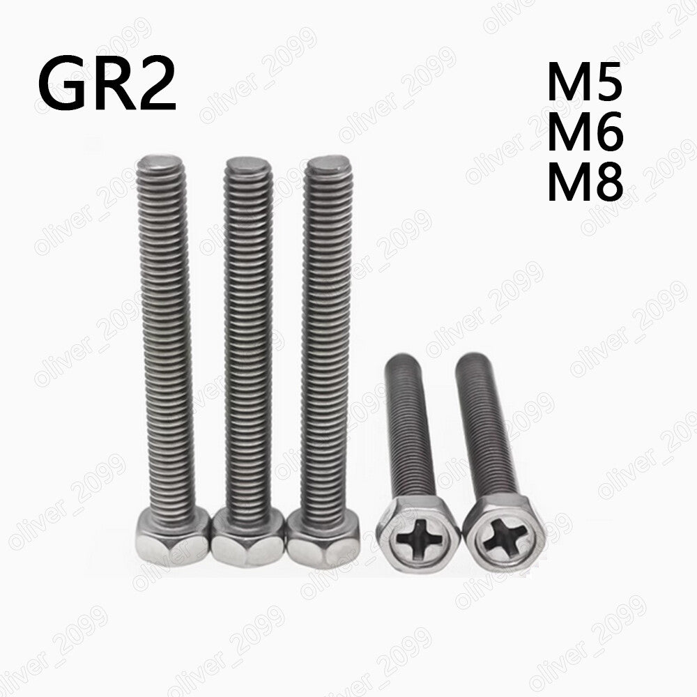 Titanium GR2 Hexagon Bolts With Cross Recess on Head M5/M6/M8