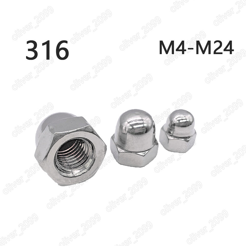 316 Stainless Steel Hex Cap Nuts Hex Acorn Nuts M3 M4 M5 M6 M8 M10 M12 M16 M24