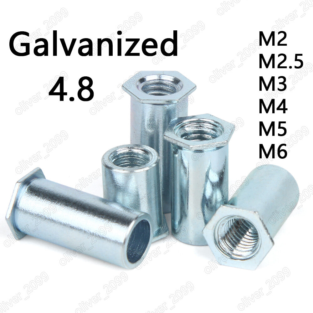 Galvanized 4.8 Steel Hollow Rivet Nuts Flat Hex Head M2 M2.5 M3 M4 M5 M6