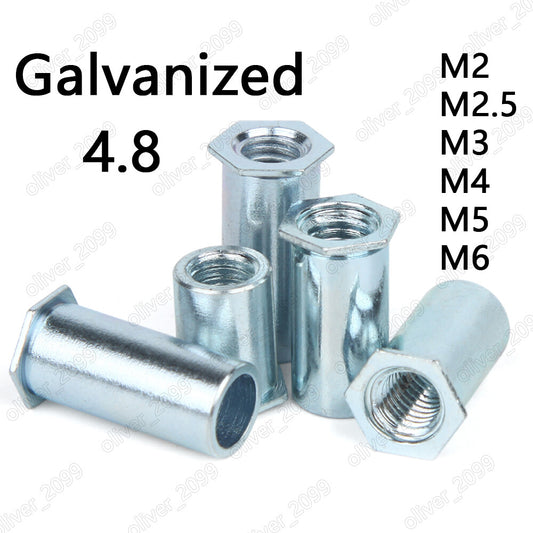 Galvanized 4.8 Steel Hollow Rivet Nuts Flat Hex Head M2 M2.5 M3 M4 M5 M6