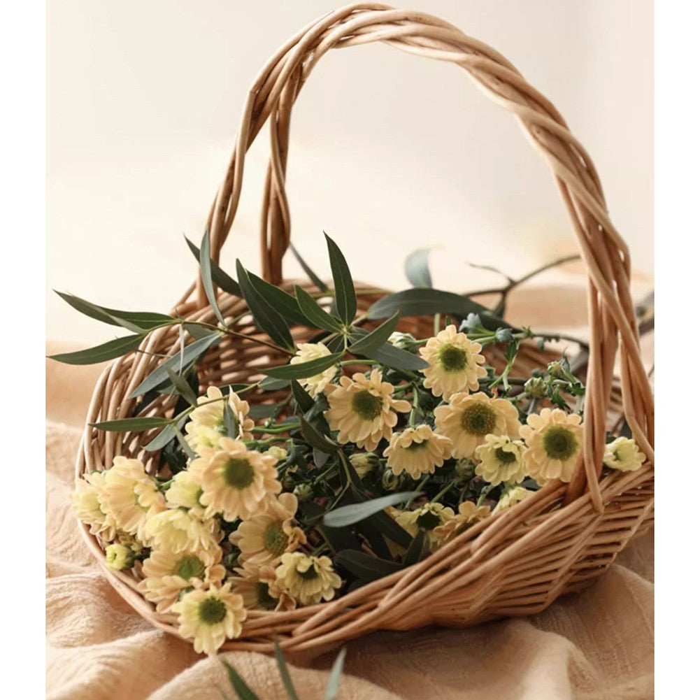 ya 15 10.20 Natural Willow Basket for Fruit Storage Picnic Carrying
