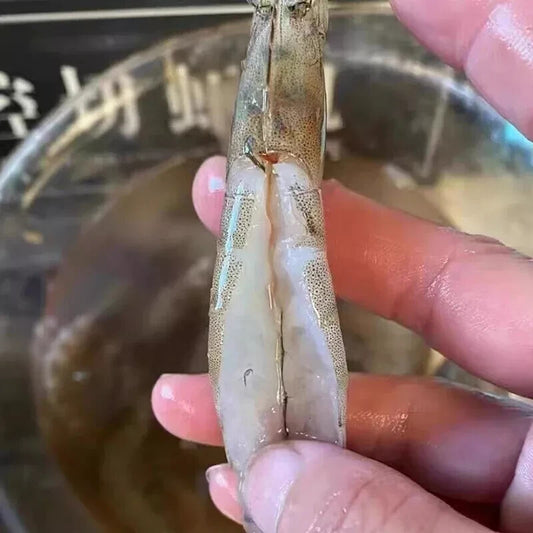 ya 26 Commercial shrimp peeler with back opening for cutting butterfly shrimp
