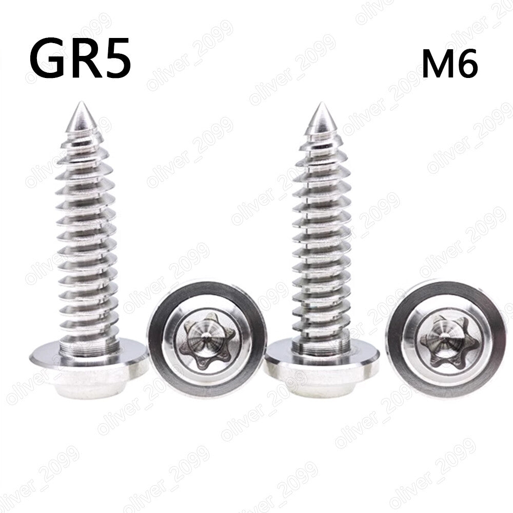 GR5 Titanium Torx Soket Flying Saucer Head Self Tapping Screws M6