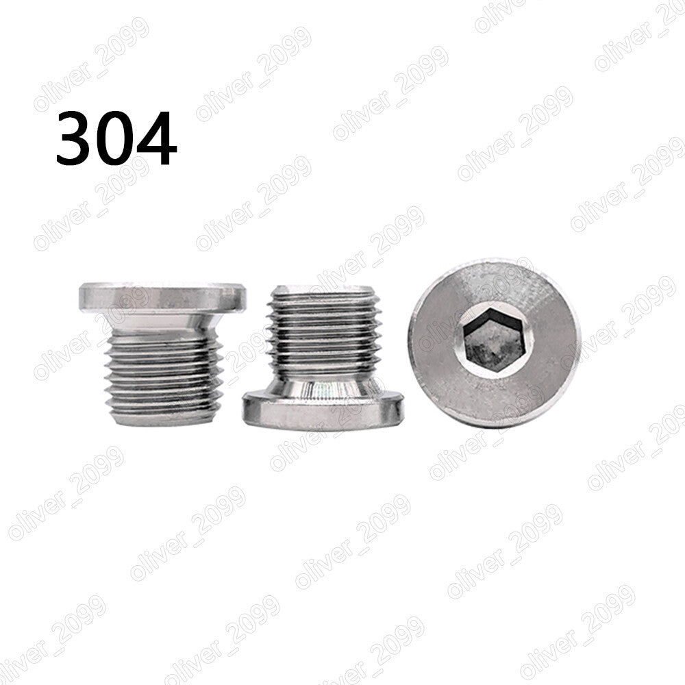 304 Stainless Steel Hexagon Socket Screw Plugs with Parallel Screw Thread DIN908