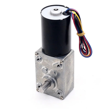 ya 5 8.7 A58-3650 Auto Locking Brushless Worm Gear Motor 12 Volt Brushed Motor Permanent Magnet