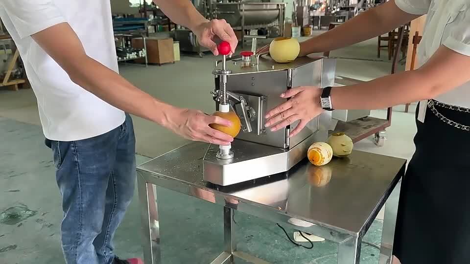 ya 26 110V Stainless Steel uit Peeler uit Kiwi Lemon Automatic Peeling Machine