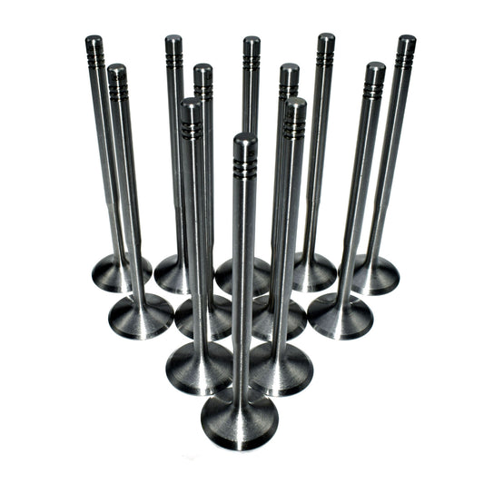ya 3 6.25.3 12-pack intake valve for VW for Audi for A4 A4 Q A6 A6 Q for Golf for JETTA for Passat 058109601C