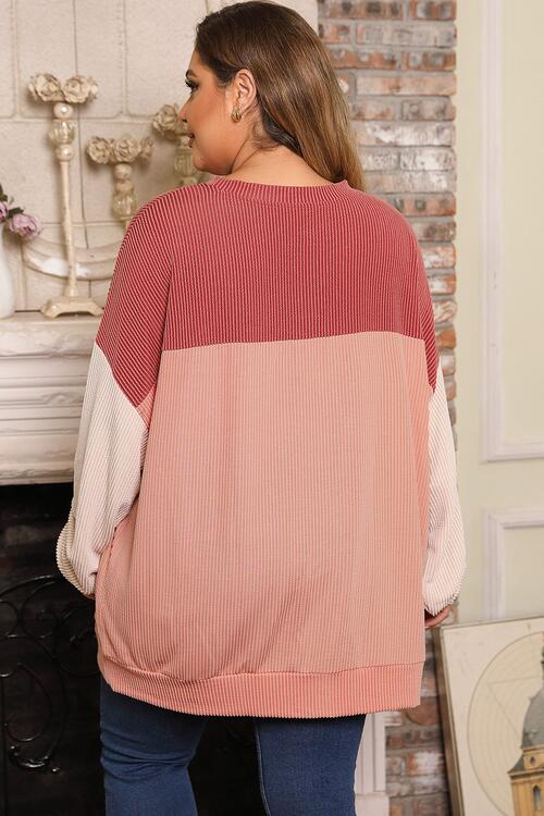 Plus Size Color Block Long Sleeve Top - Create the impossible